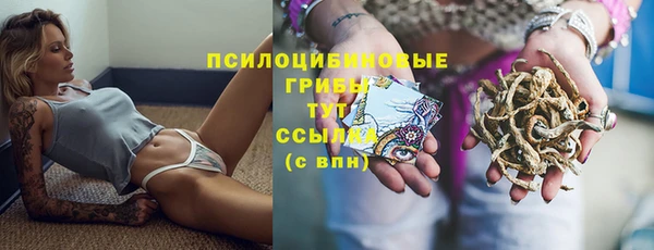 ПСИЛОЦИБИНОВЫЕ ГРИБЫ Алексеевка