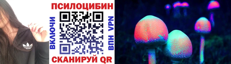 Псилоцибиновые грибы прущие грибы  Махачкала 