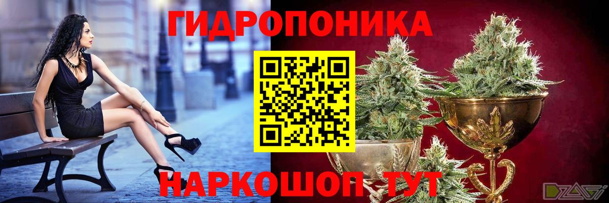 Каннабис Ganja Махачкала